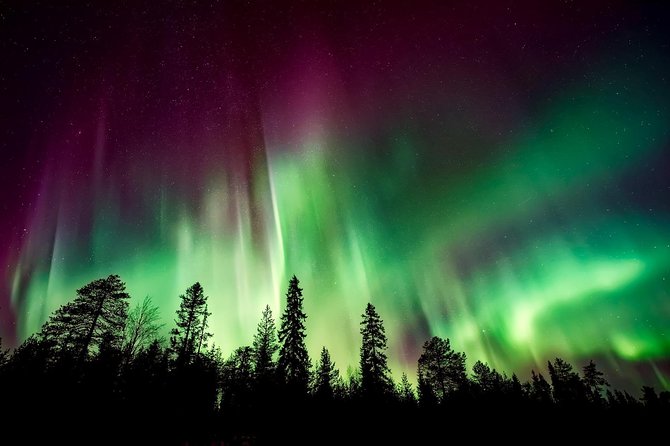 Hunt for the Northern lights in Kiruna - Abisko - The guide, safety, and group size