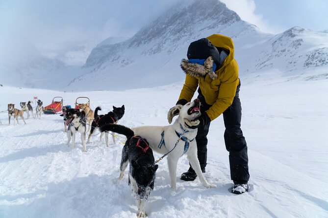 Husky Sledding Tour - Arriving at Oatfield Huskies in Vistträsk