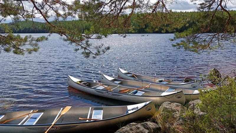 Johannisholm: Guided Canoe Tour on Lake Venjanssjön - Starting at Johannisholm Adventure Reception