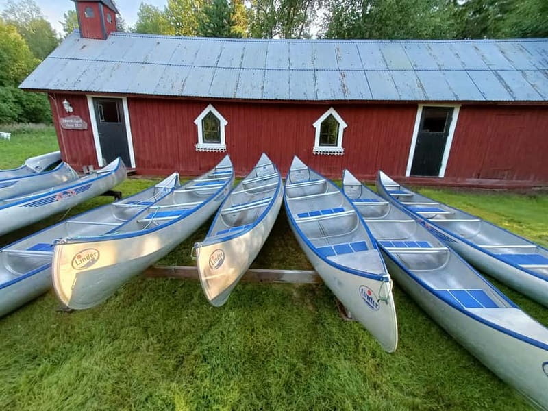 Johannisholm: Guided Canoe Tour on Lake Venjanssjön - Finding the waterlily lagoon