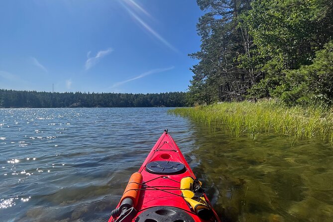 Kayak Tour in the Stockholm Archipelago with Lunch Meal - Looking for eagles, deer, and a distant seal