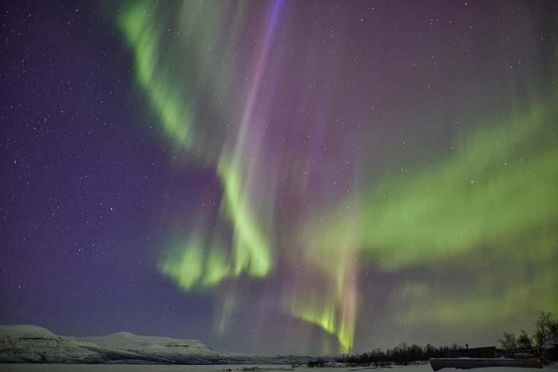 Kiruna: Abisko Northern Lights Tour with Dinner - Dinner in Abisko adds more than convenience