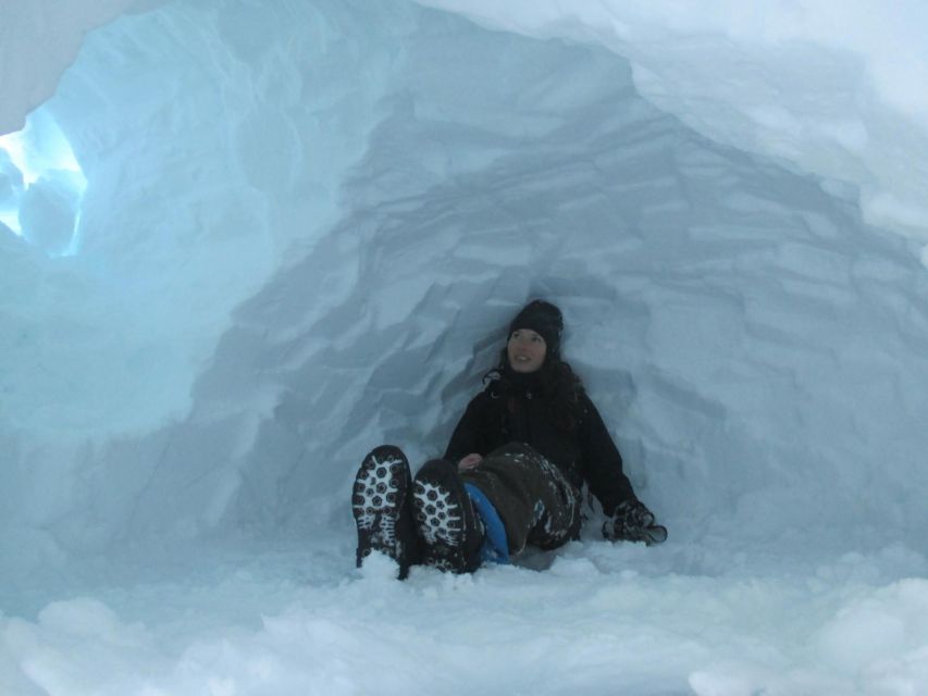 Kiruna: Build your own igloo overnight Tour - Breakfast in the lavvu and time with the dogs