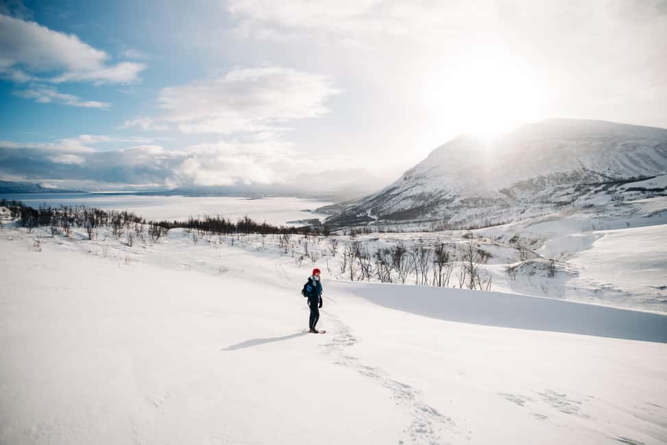 Kiruna: Daytime Snowshoe Hike - Key points before you book