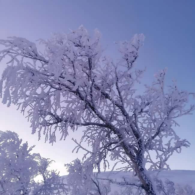 Kiruna: Daytime Snowshoe Hike - The uphill section and the viewpoint