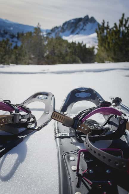 Kiruna: Daytime Snowshoe Hike - Is $127 a fair price?