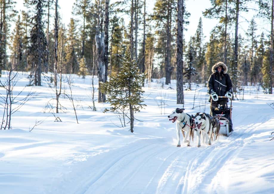 Kiruna: Drive Your Own Team Lunch Tour - Key points at a glance