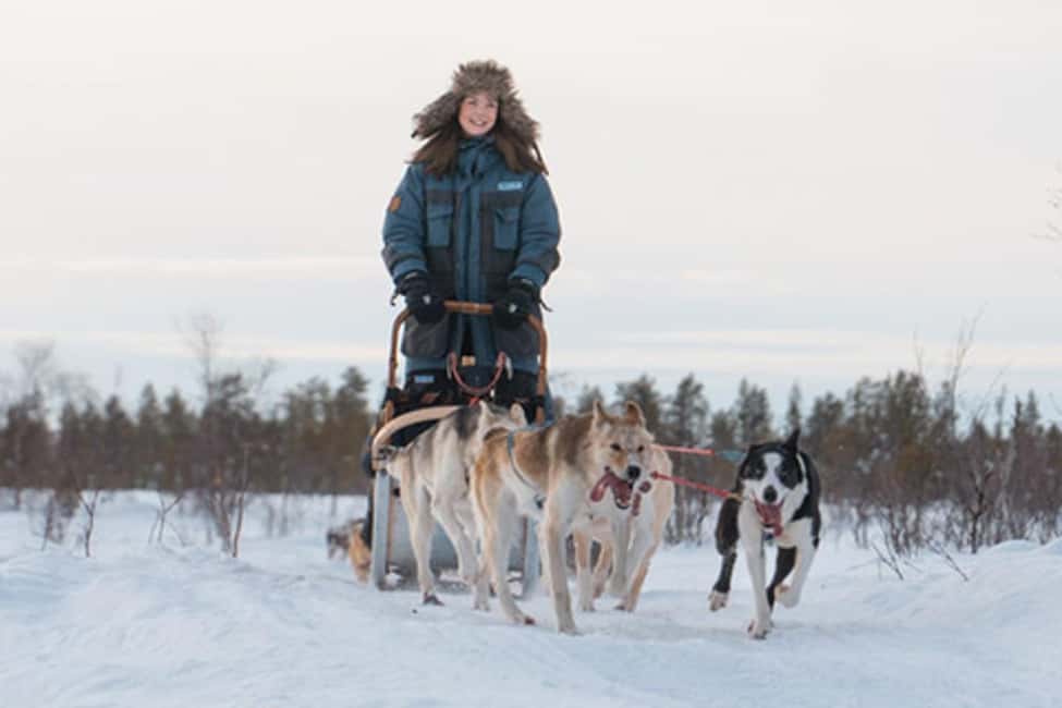 Kiruna: Drive Your Own Team Lunch Tour - Why driving your own sled changes the experience