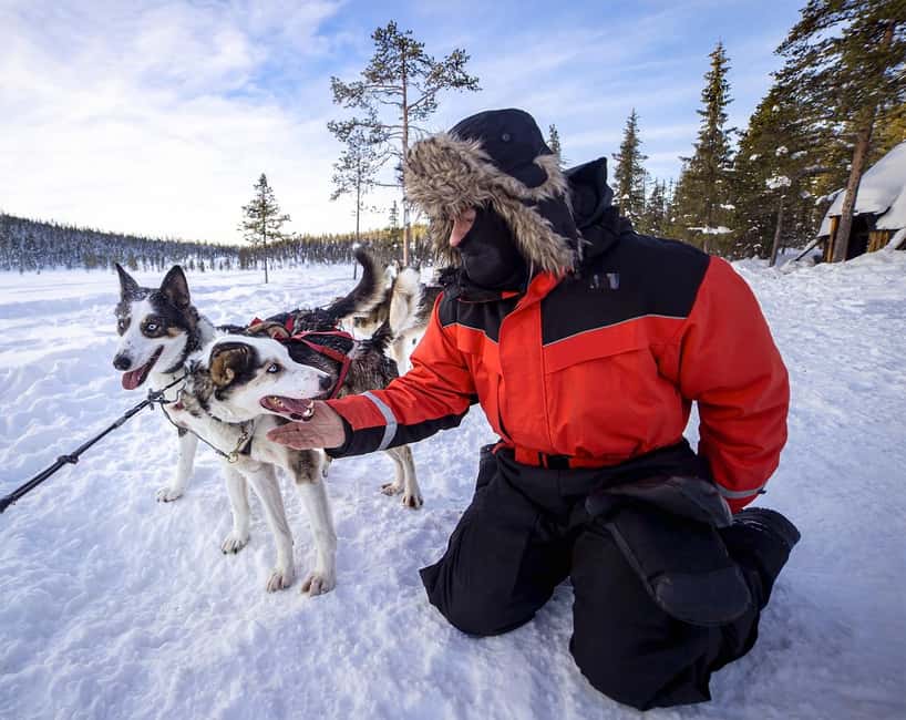 Kiruna: Drive Your Own Team Lunch Tour - Around 27 kilometers into the Kiruna wilderness