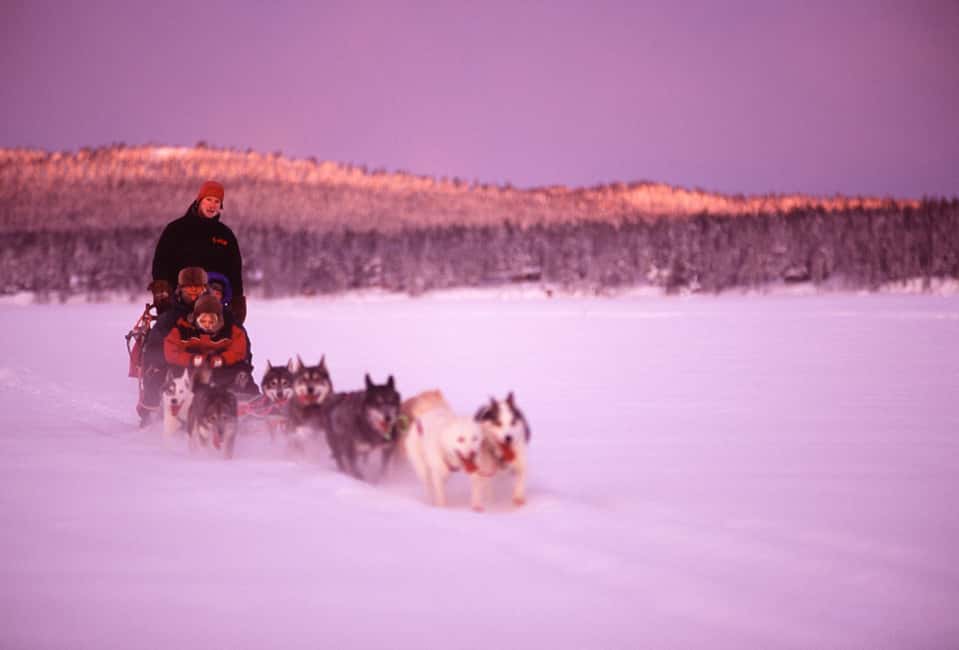 Kiruna: Family-friendly Short Husky Tour with Coffee - A short husky ride with a calm pace