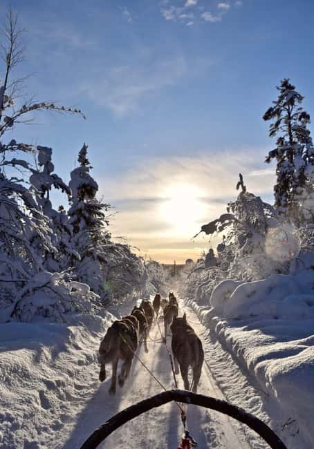 Kiruna: Family-friendly Short Husky Tour with Coffee - Getting suited up for Kiruna cold