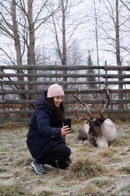 Kiruna: Icehotel and Sami Camp Day Trip - Why this Kiruna day trip works