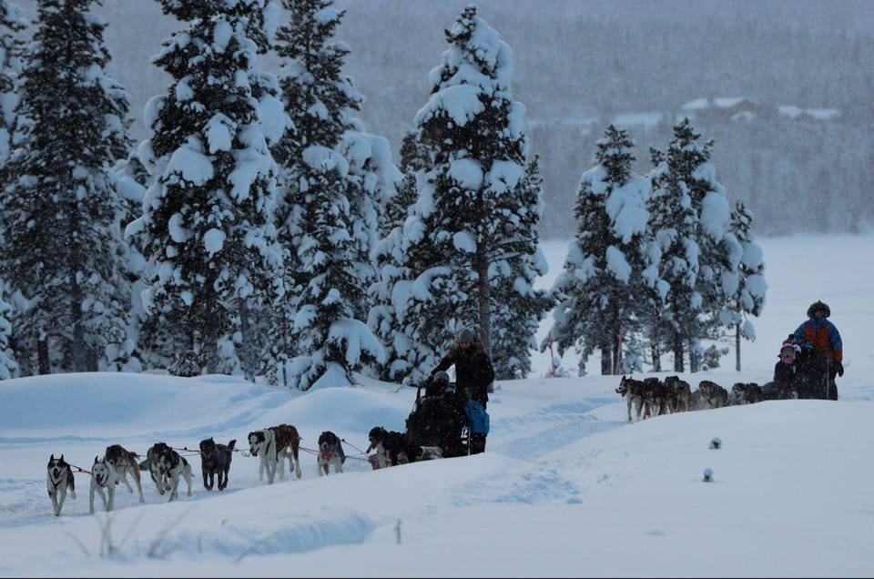 Kiruna: Morning Husky Sled Ride with Coffee Break - Key points to know before booking