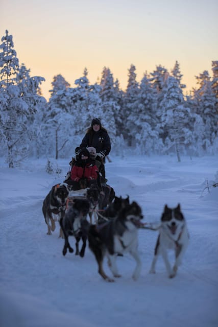 Kiruna: Morning Husky Sled Ride with Coffee Break - The return route and time for photos