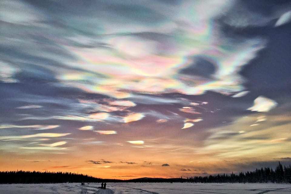 Kiruna: Morning Husky Sled Ride with Coffee Break - What $177 buys you