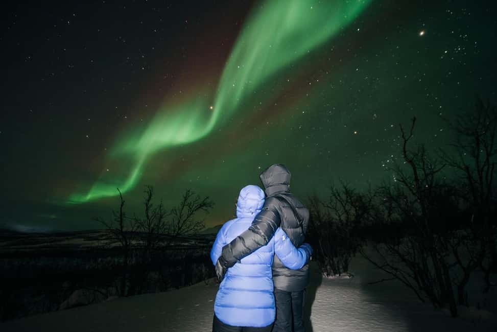 Kiruna: Northern Lights Chase with Car - Key points to know before you book