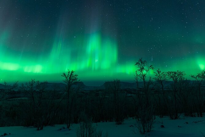 Kiruna Northern Lights Tour with Photographer - Is $223.72 a fair price?