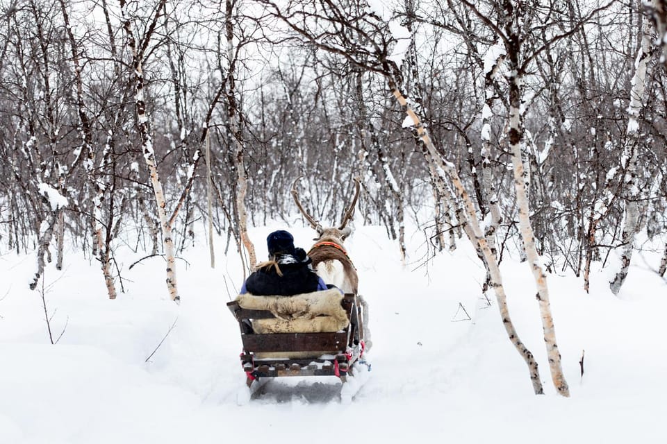 KIRUNA: Reindeer Sled Ride in the Countryside - What makes the reindeer ride special