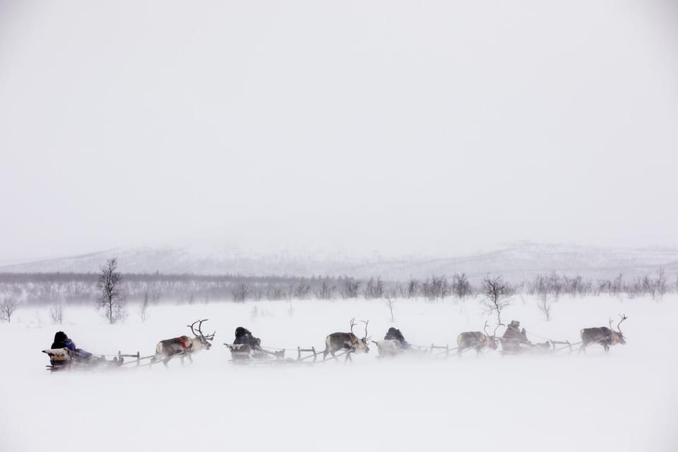 KIRUNA: Reindeer Sled Ride in the Countryside - Is $425 per person a fair price?