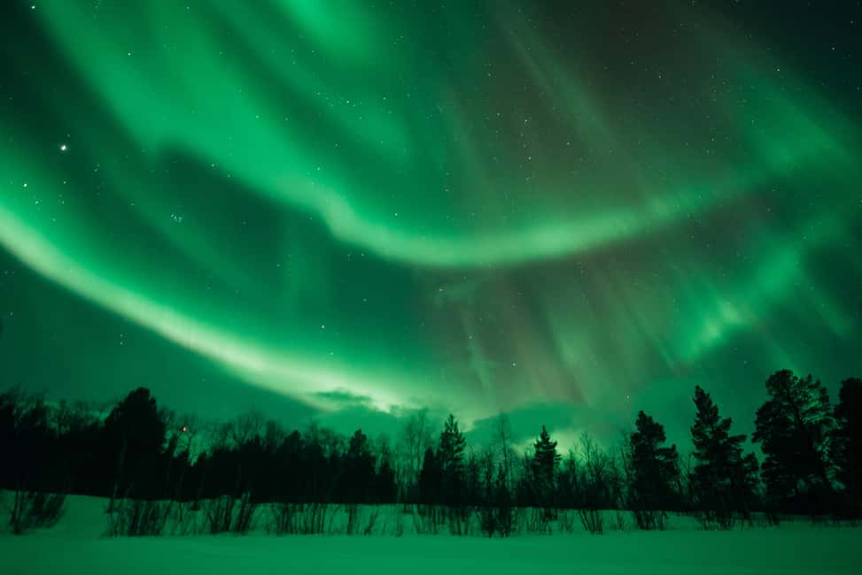 Kiruna: Sami-Inspired BBQ Dinner with Northern Lights Chase - Should you book the Sami BBQ and aurora chase?