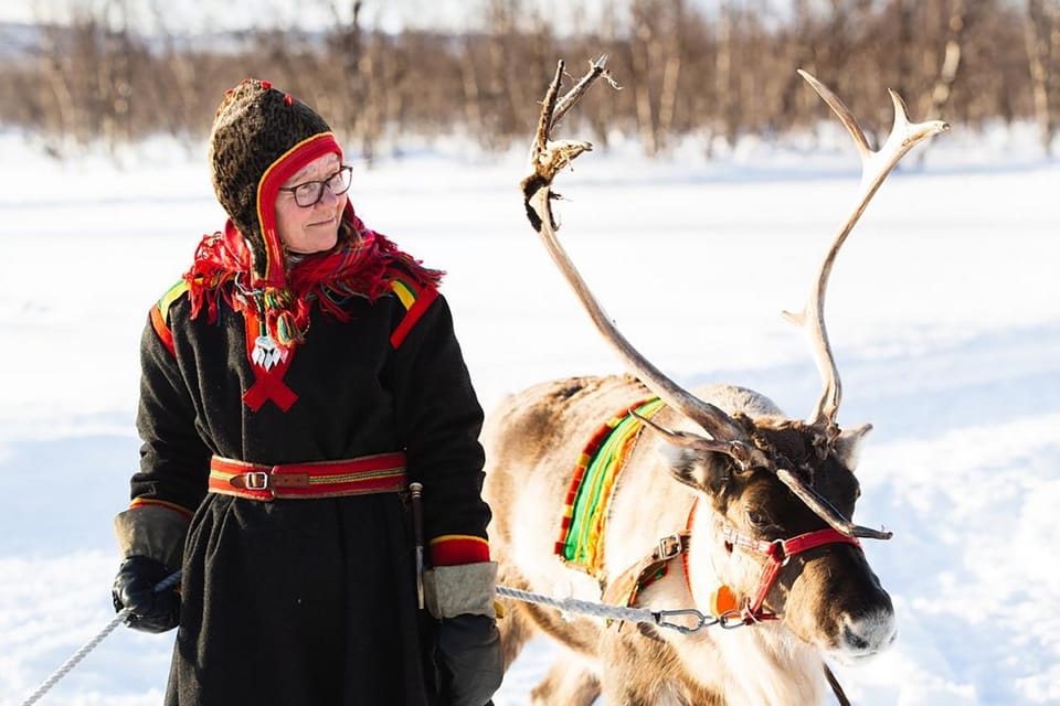 KIRUNA: Sami Reindeer Experience - Key points before you book