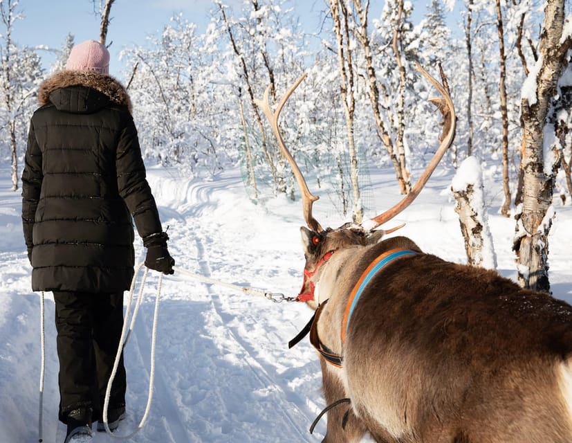 KIRUNA: Sami Reindeer Experience - Listening to Sami stories by the fire