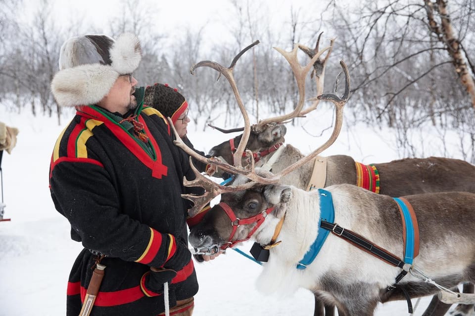 KIRUNA: Sami Reindeer Experience - What $348 means in practical terms