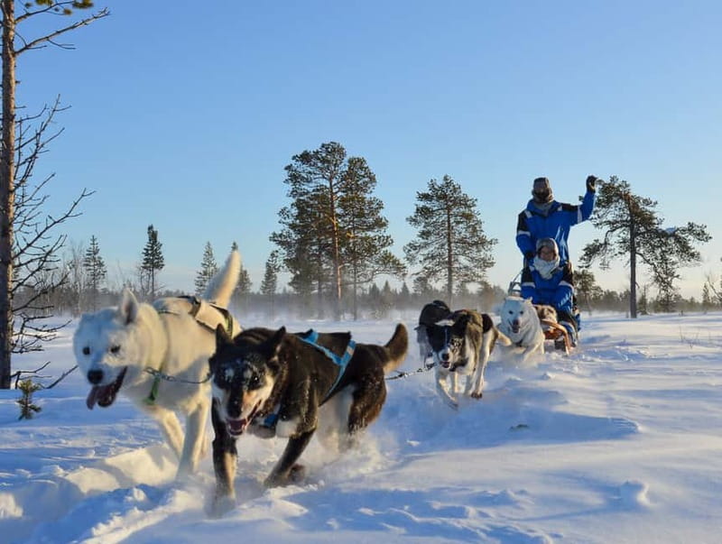 Kiruna: Self-drive Husky Morning Tour - Starting in Kiruna and heading to Kalixforsbron