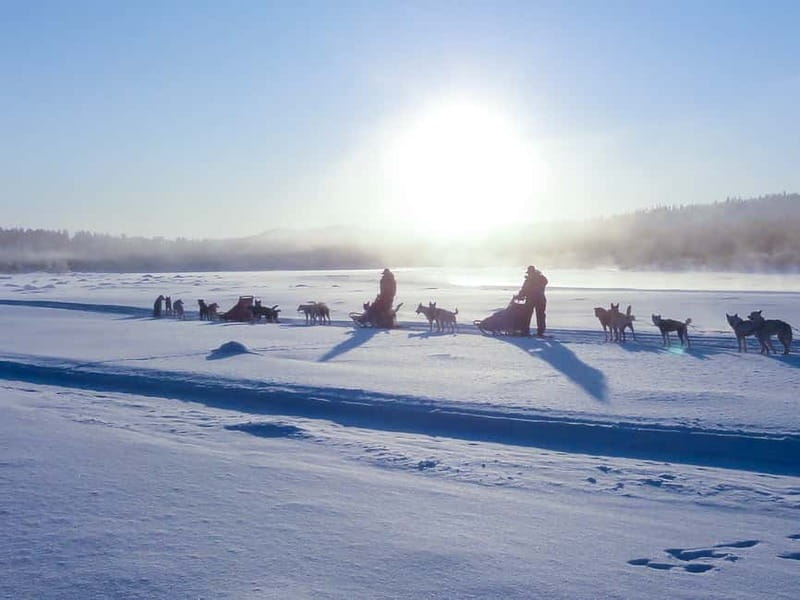 Kiruna: Self-drive Husky Morning Tour - Getting dressed in supplied winter gear