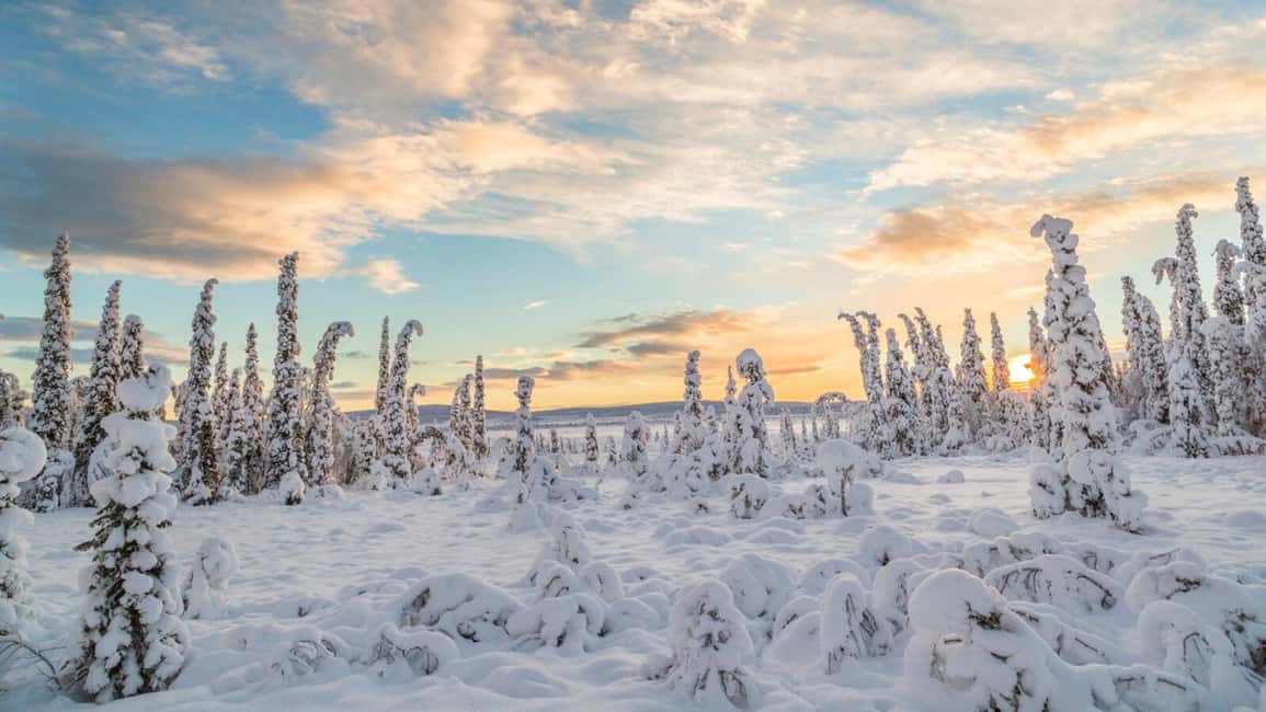 Kiruna: Small-Group Daytime Snowmobile Adventure in Lapland - Pickup across Kiruna and beyond