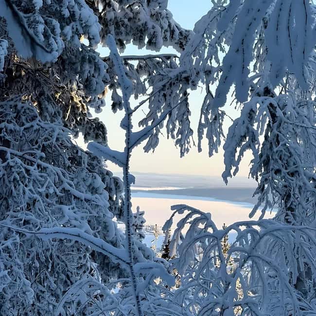 Kiruna: Small-Group Daytime Snowmobile Adventure in Lapland - Wildlife and Sámi traditions