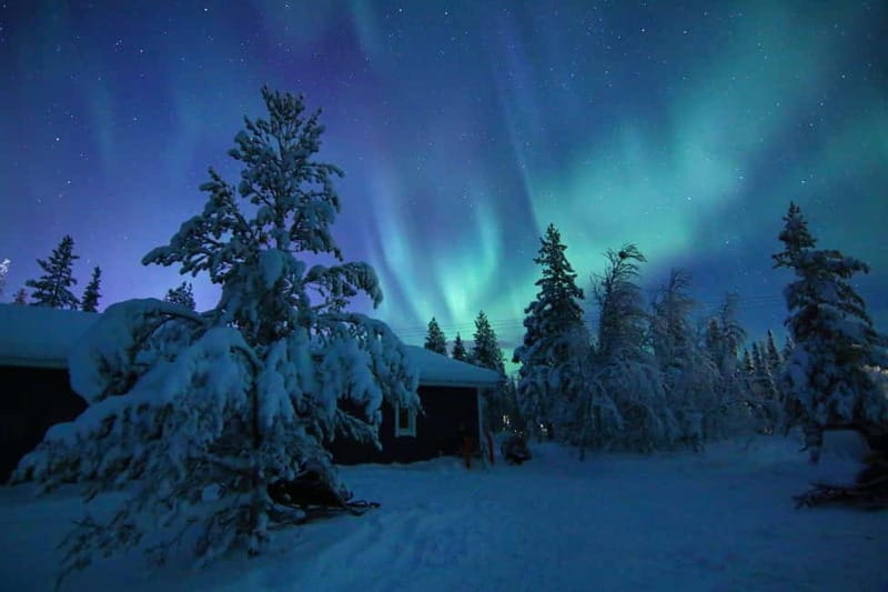 Kiruna: Snowshoe Trek with Aurora Hunt and Warm Beverage - Five things to know before you go