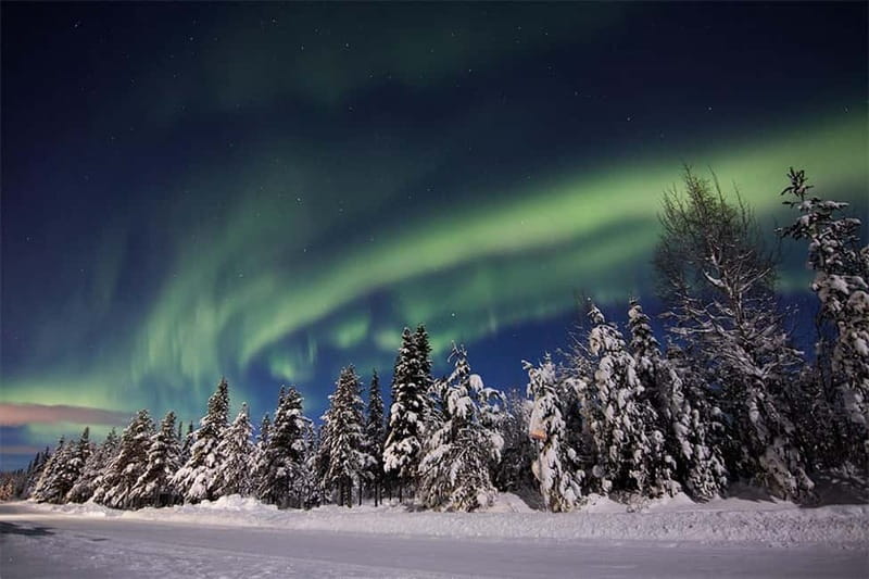 Kiruna: Snowshoe Trek with Aurora Hunt and Warm Beverage - Setting off into the snowy forest