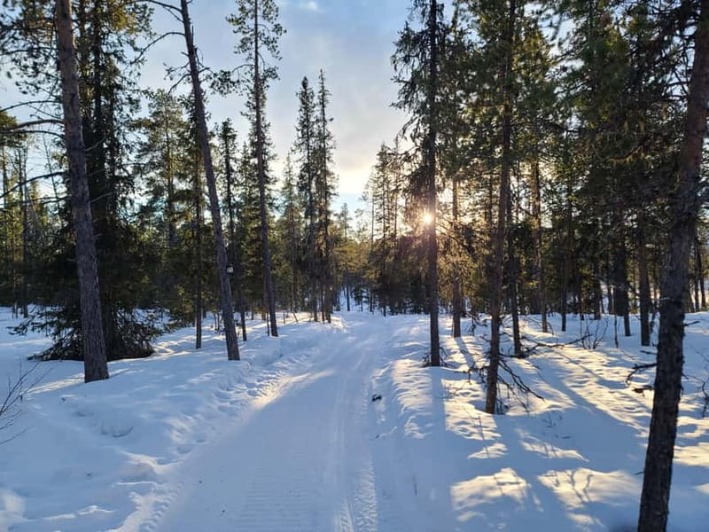 Kiruna: Snowshoe Trek with Warm Beverage and Sandwich - Starting near Scandic Hotel in Kiruna