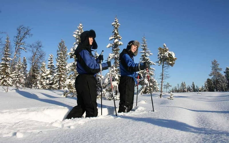 Kiruna: Snowshoe Trek with Warm Beverage and Sandwich - The 45-minute climb into the snow