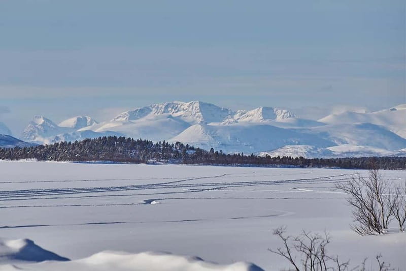Kiruna: Wildlife and nature photography - Is the $220 price fair?