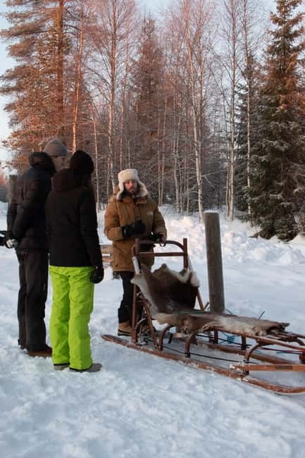 Luleå: Drive your own Husky team, 10km - Learning to Handle the Sled