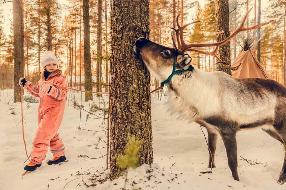 Luleå: Encounter with Reindeer Experience - Warming up inside a traditional lávvu