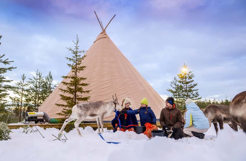 Luleå: Meet and Feed the Reindeer – Short Experience - Key points at a glance