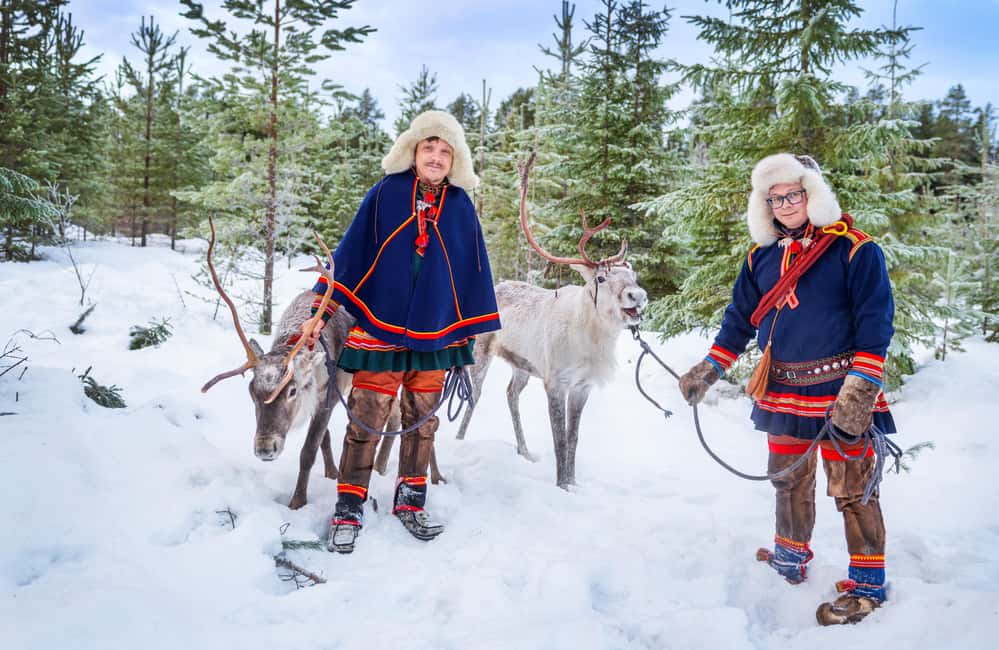 Luleå: Meet and Feed the Reindeer – Short Experience - What the $110 price really buys you