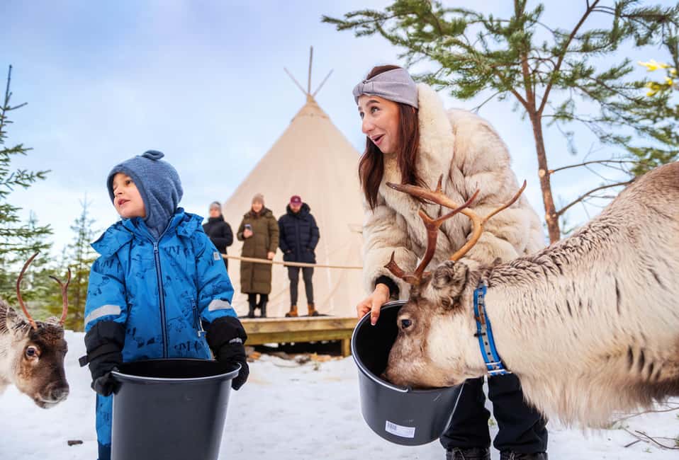 Luleå: Meet the Reindeer, Sámi Flavors & Stories by the Fire - Key points to know before you book