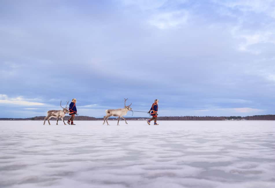 Luleå: Meet the Reindeer, Sámi Flavors & Stories by the Fire - Stories, music, and life in the Arctic
