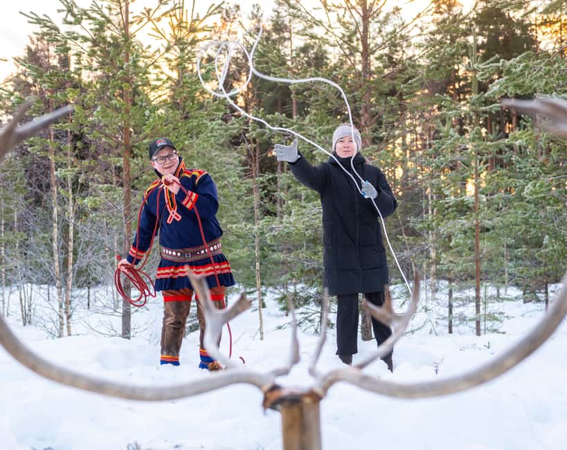 Luleå: Meet the Reindeer, Sámi Flavors & Stories by the Fire - Is $253 per person good value?