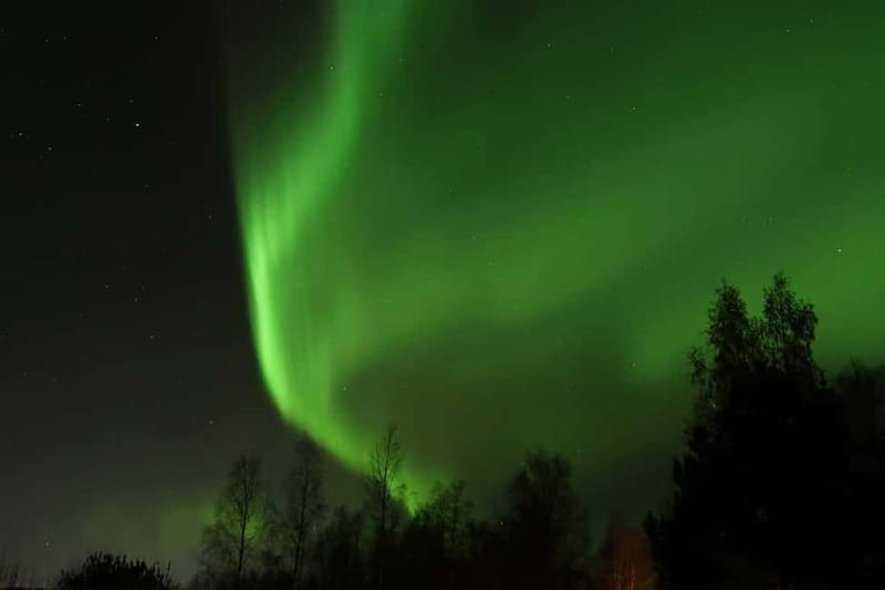 Luleå: Northern Lights Snowshoeing Tour - Why a snowshoe tour works better than a roadside wait