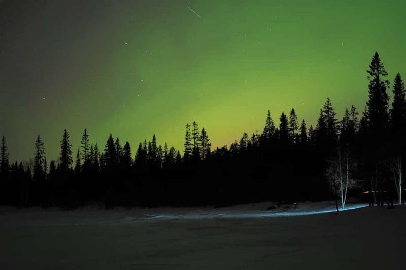Luleå: Northern Lights Snowshoeing Tour - Crunching through the snow-covered forest