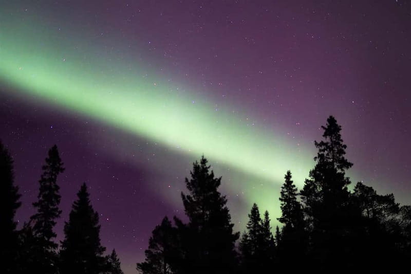 Luleå: Northern Lights Snowshoeing Tour - Leaving Luleå with hotel pickup included