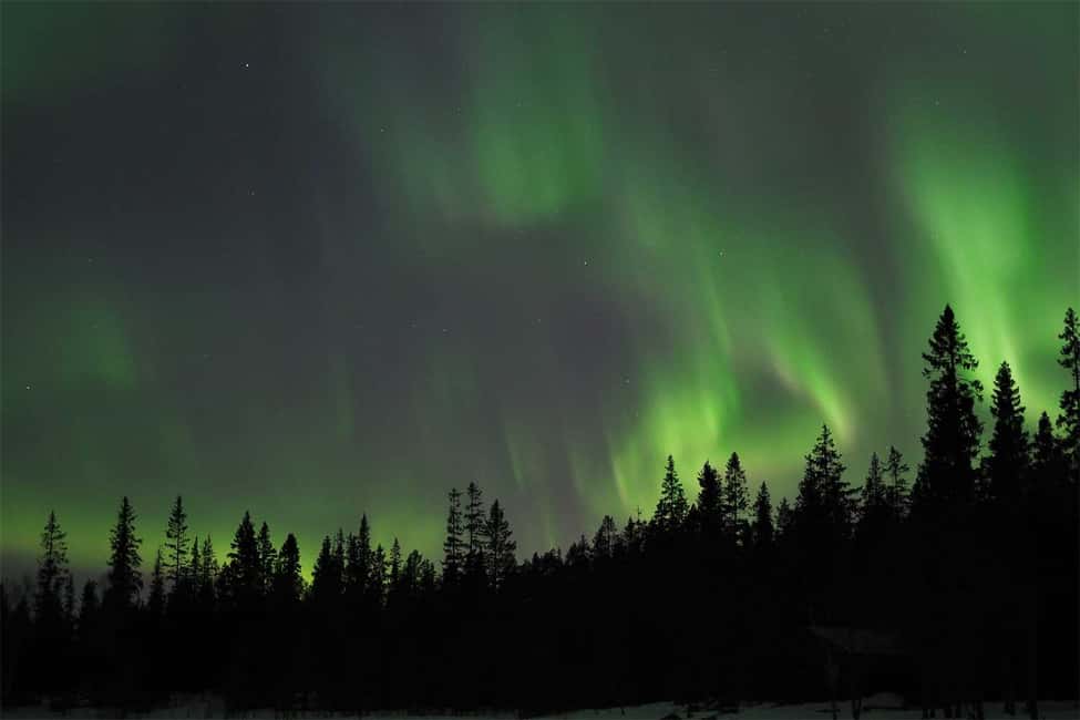 Luleå: Northern Lights Tour by Car with Swedish Treats - Why this Luleå Aurora tour works well