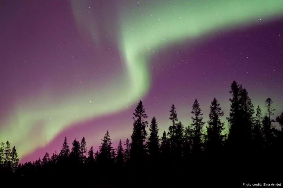Luleå: Northern Lights Tour by Car with Swedish Treats - How the guide chooses the viewing spots