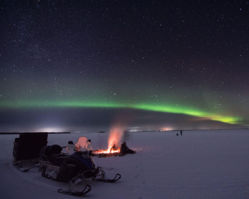 Luleå : Northern Lights Tour on a Snowmobile drawn Sled - Key points to know before you book