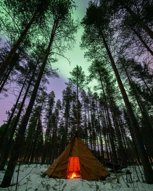 Luleå: Sami Culture, Reindeer, and Northern Lights Tour - Key points to know before you go